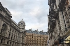 IMG_3884
