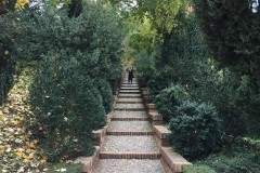 IMG_4546