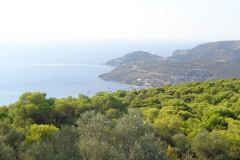 DSC00051