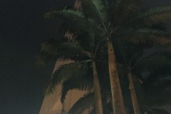 IMG_0158
