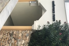 SIMG_6504